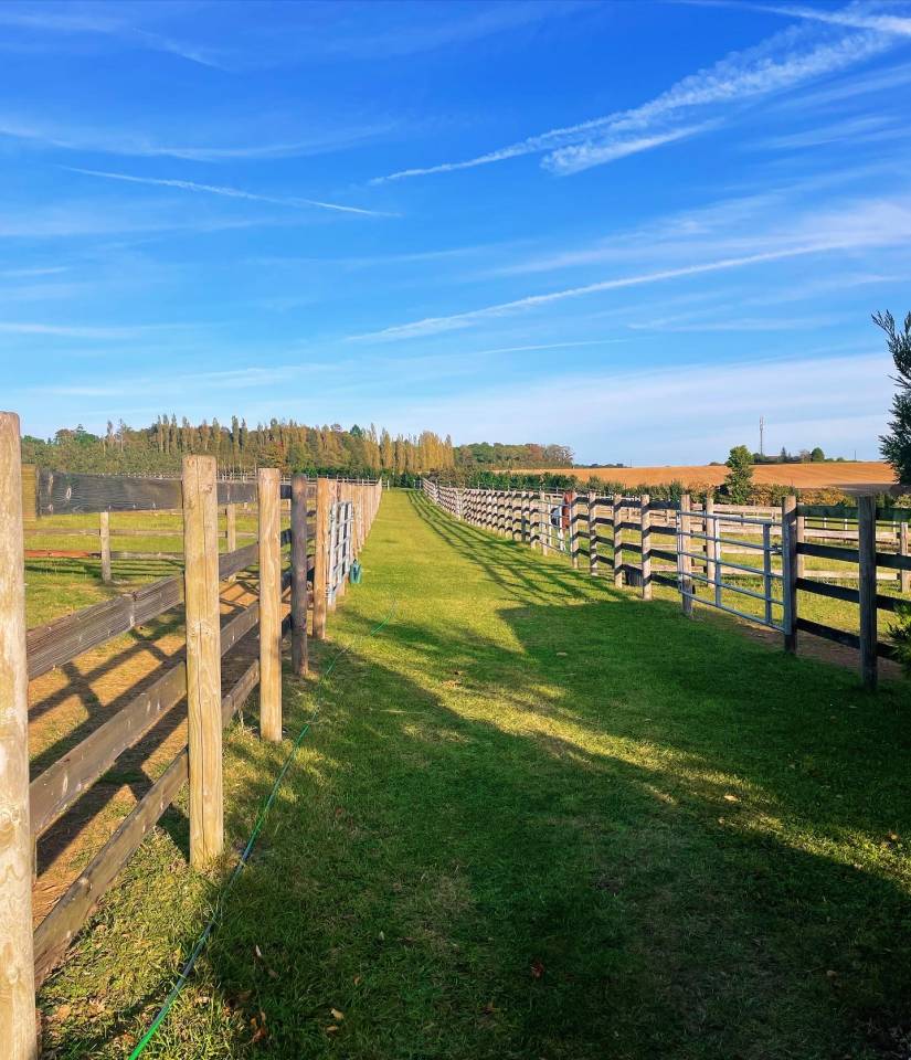 Une place en pension au Haras des Vignes d&rsquo;Allouin