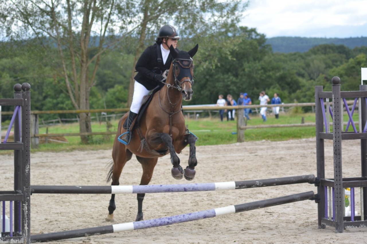 Recherche DP sur Clochette 