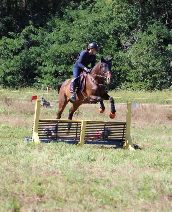 Recherche DP sur Clochette 