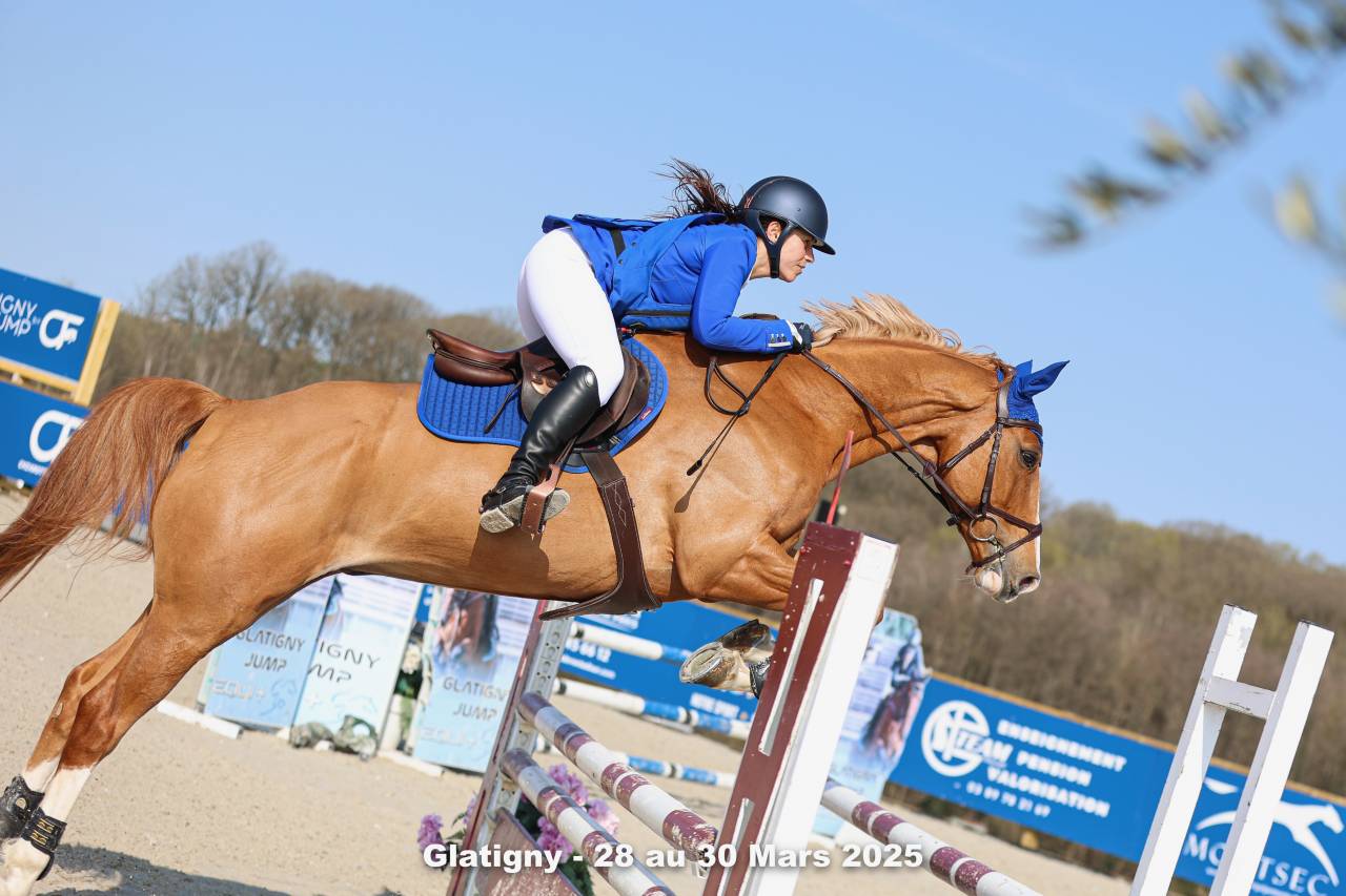 Hongre Selle Français 9 ans alezan crins lavés 1m65 CSO