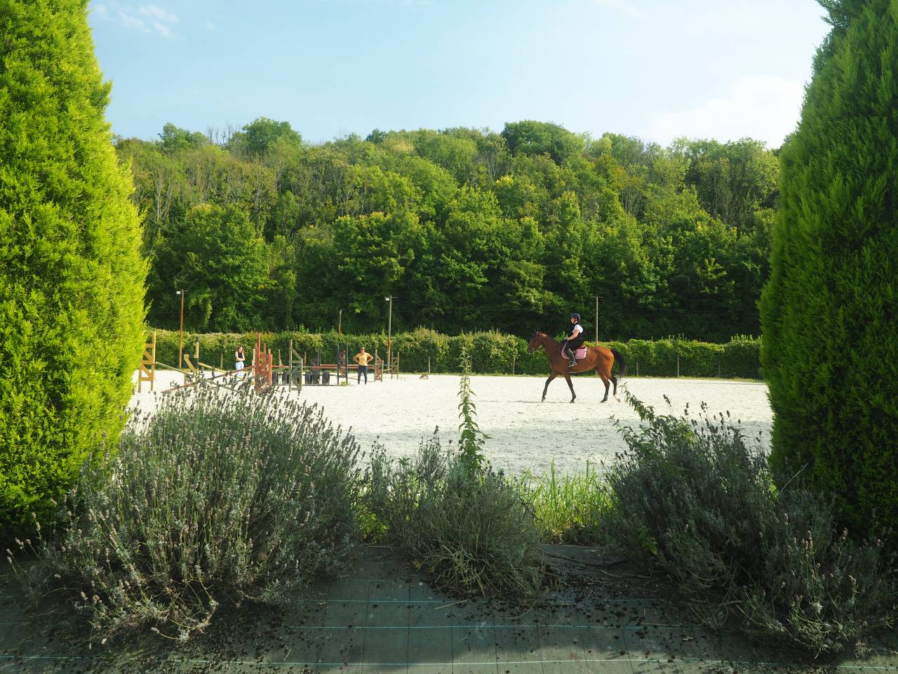 La Perle écurie -  pension chevaux 77 nord