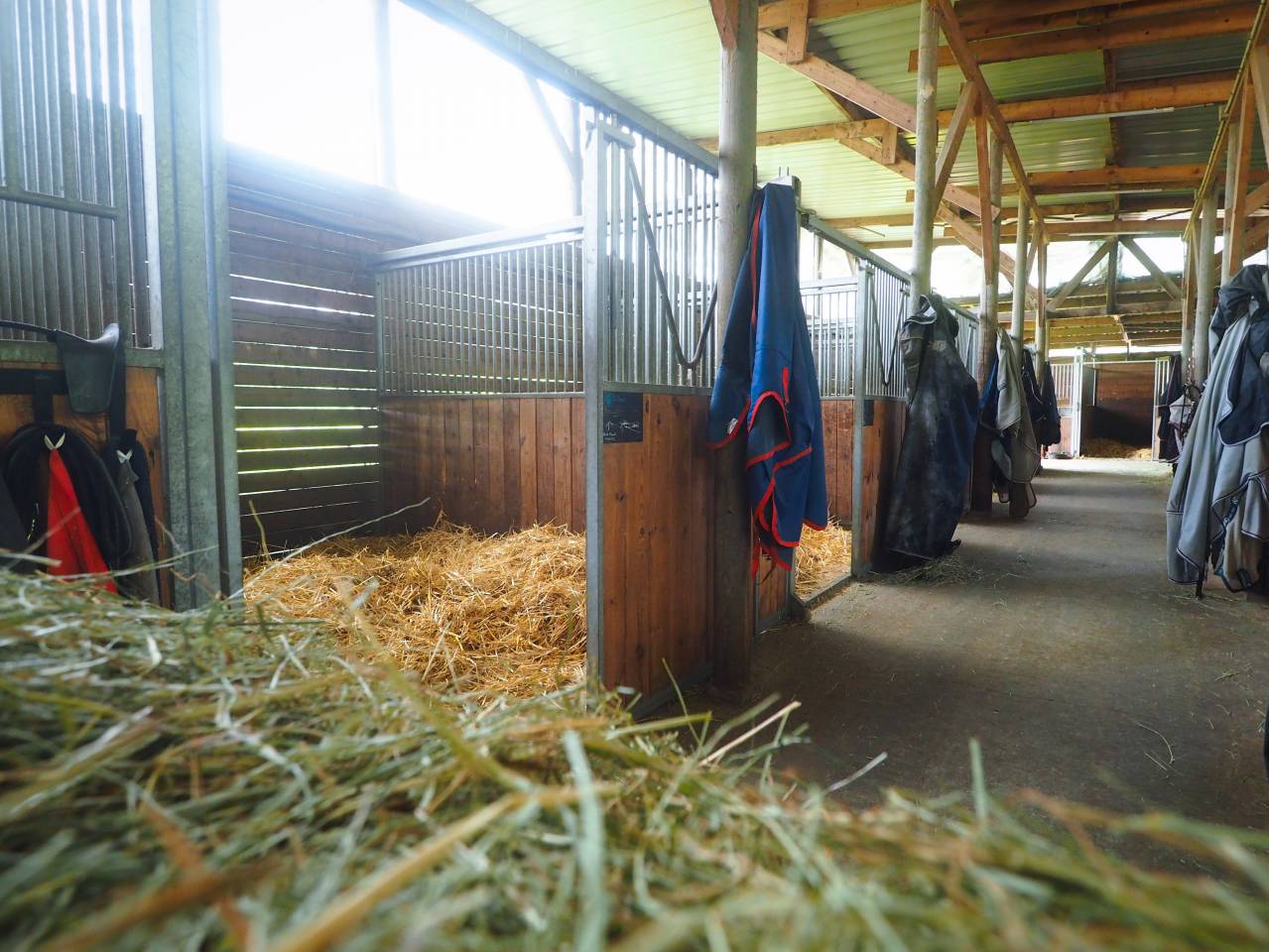 La Perle écurie -  pension chevaux 77 nord