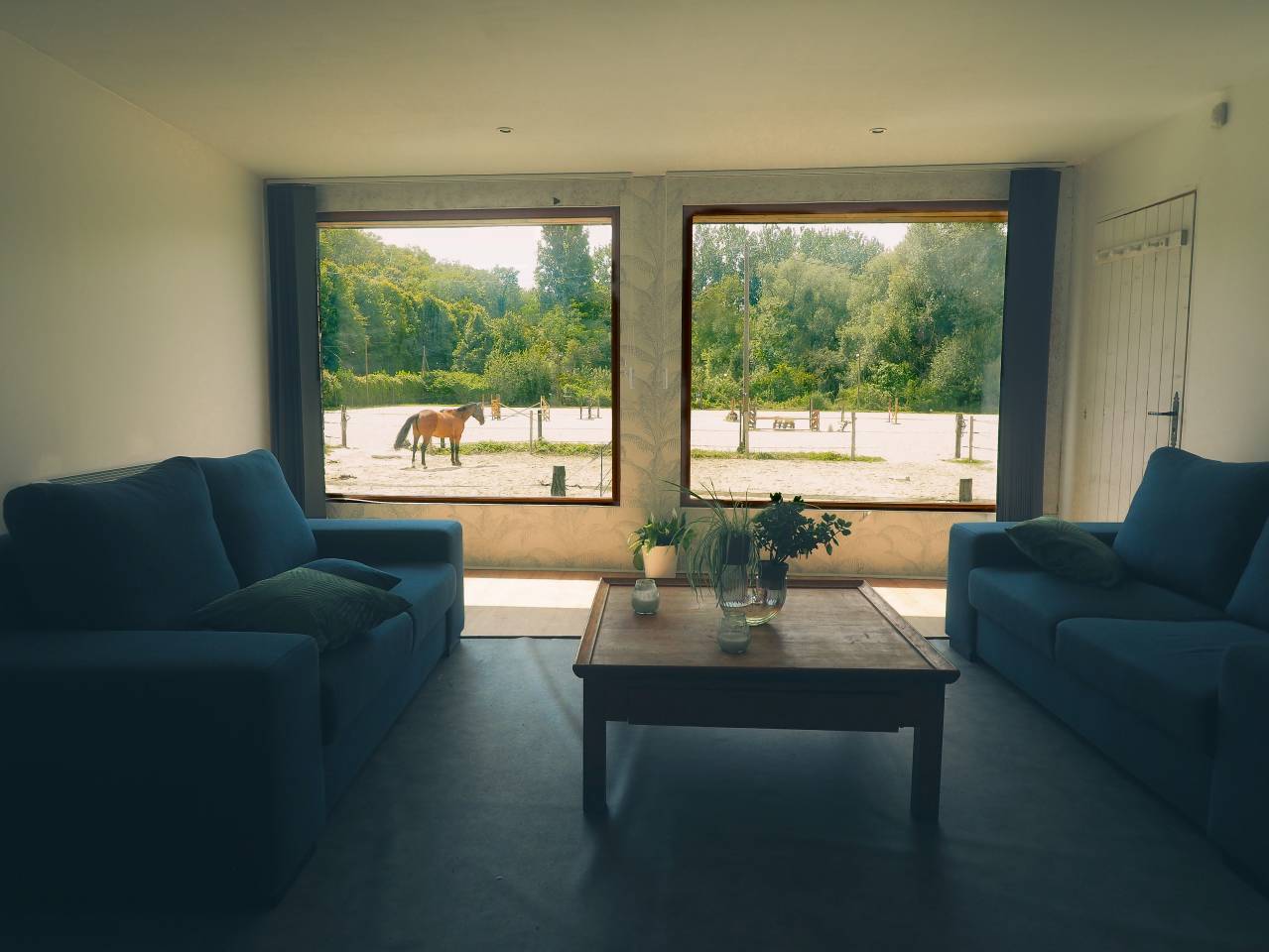 La Perle écurie -  pension chevaux 77 nord