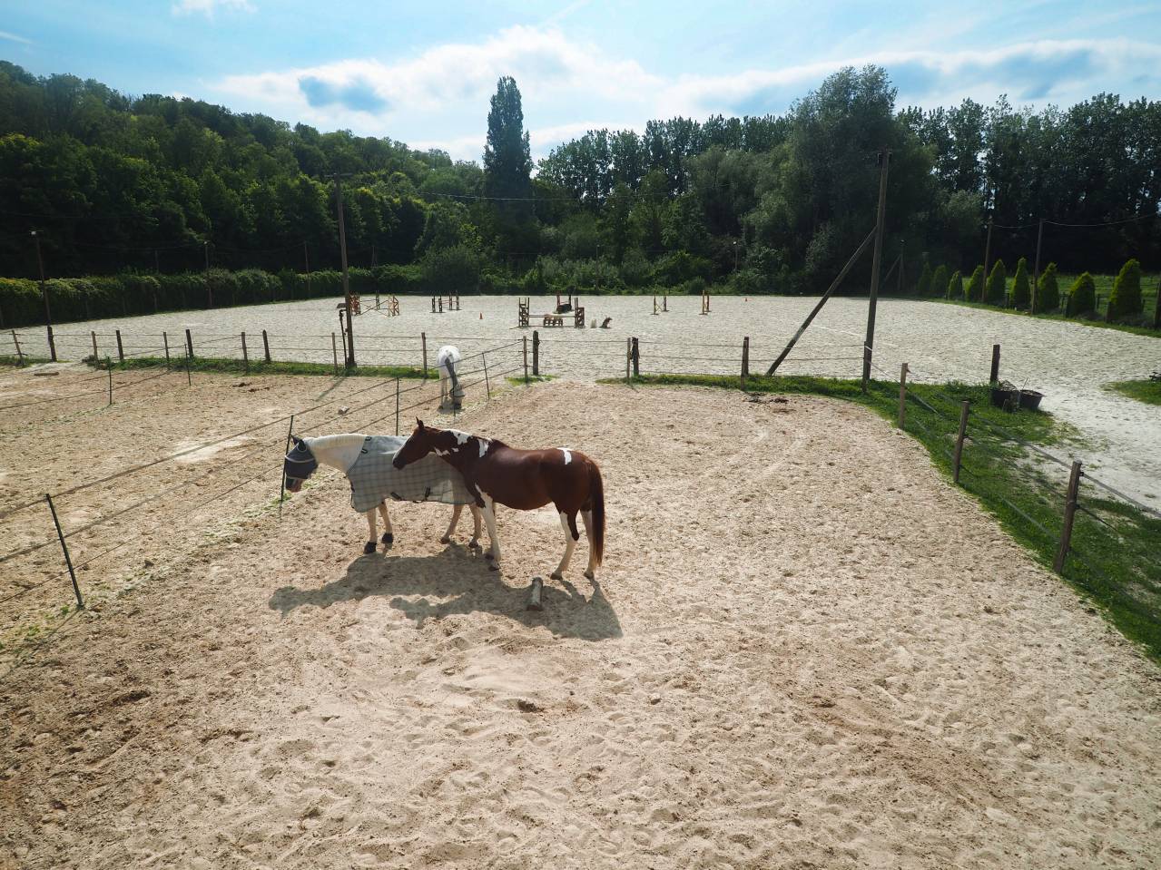 La Perle écurie -  pension chevaux 77 nord