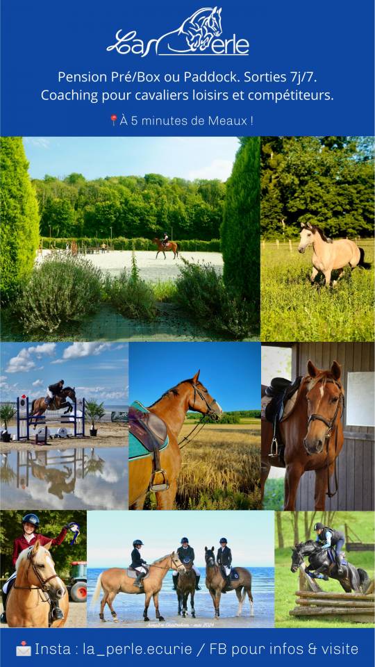 La Perle écurie -  pension chevaux 77 nord
