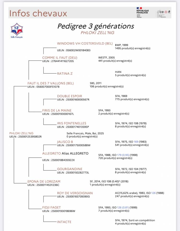 Foal (allegreto X Faut il des 7 vallons) 