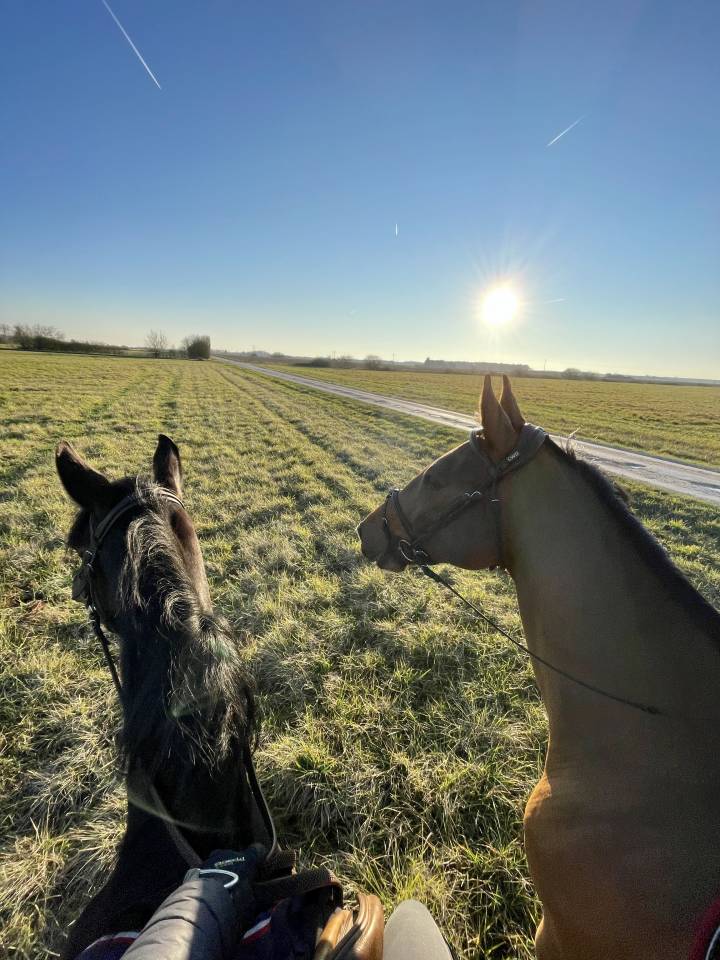 &Eacute;curie CSO - 20 minutes d&rsquo;Orl&eacute;ans