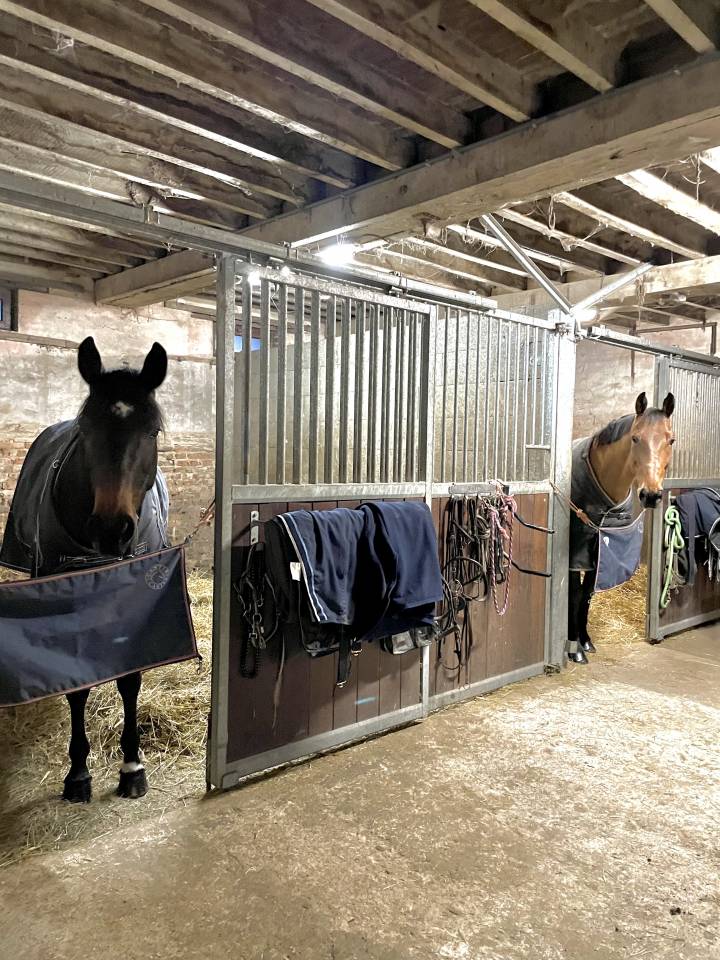 &Eacute;curie CSO - 20 minutes d&rsquo;Orl&eacute;ans