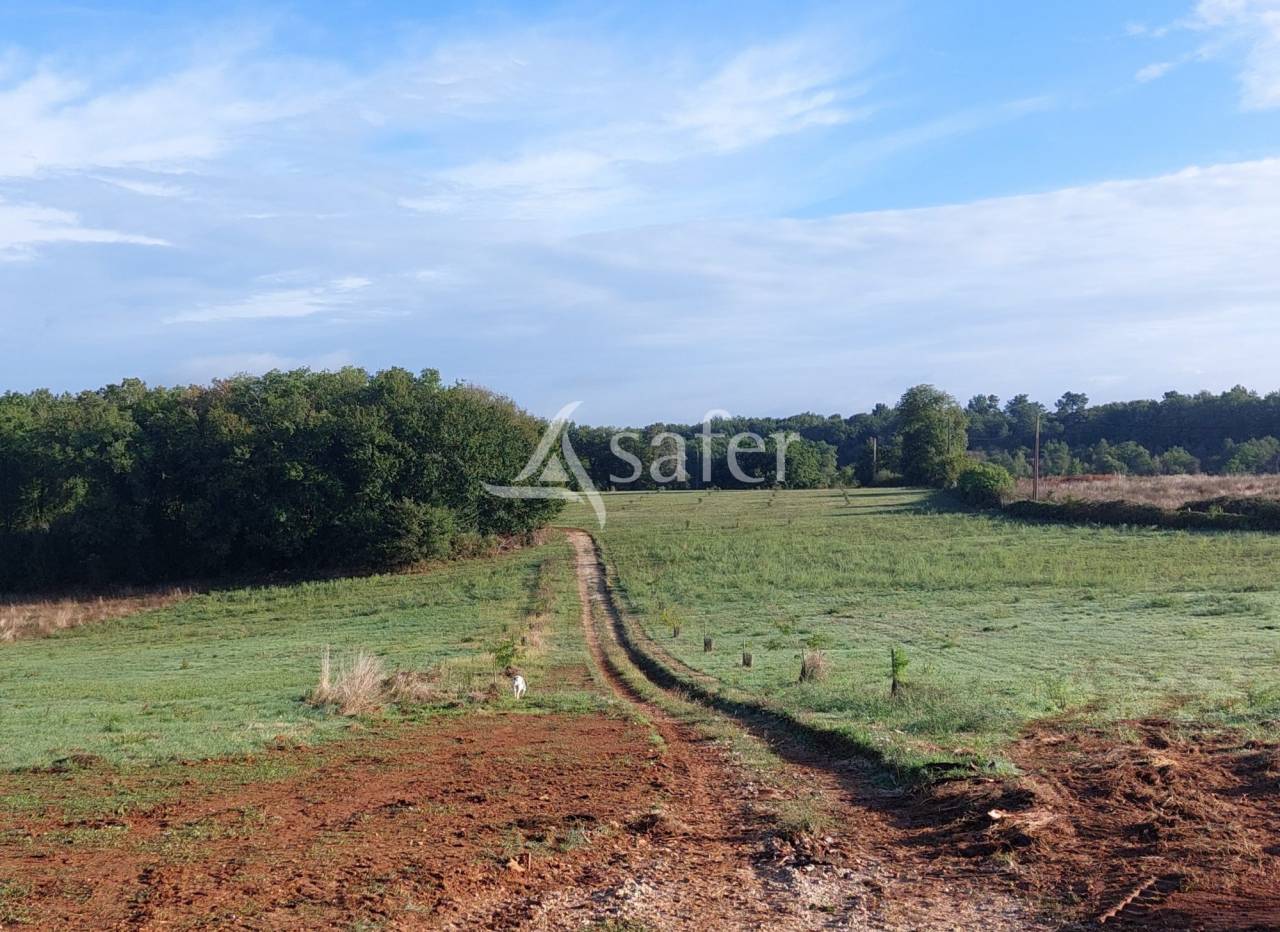 Belle propri&eacute;t&eacute; b&acirc;tie sur 17ha avec g&icirc;tes et verger, proche