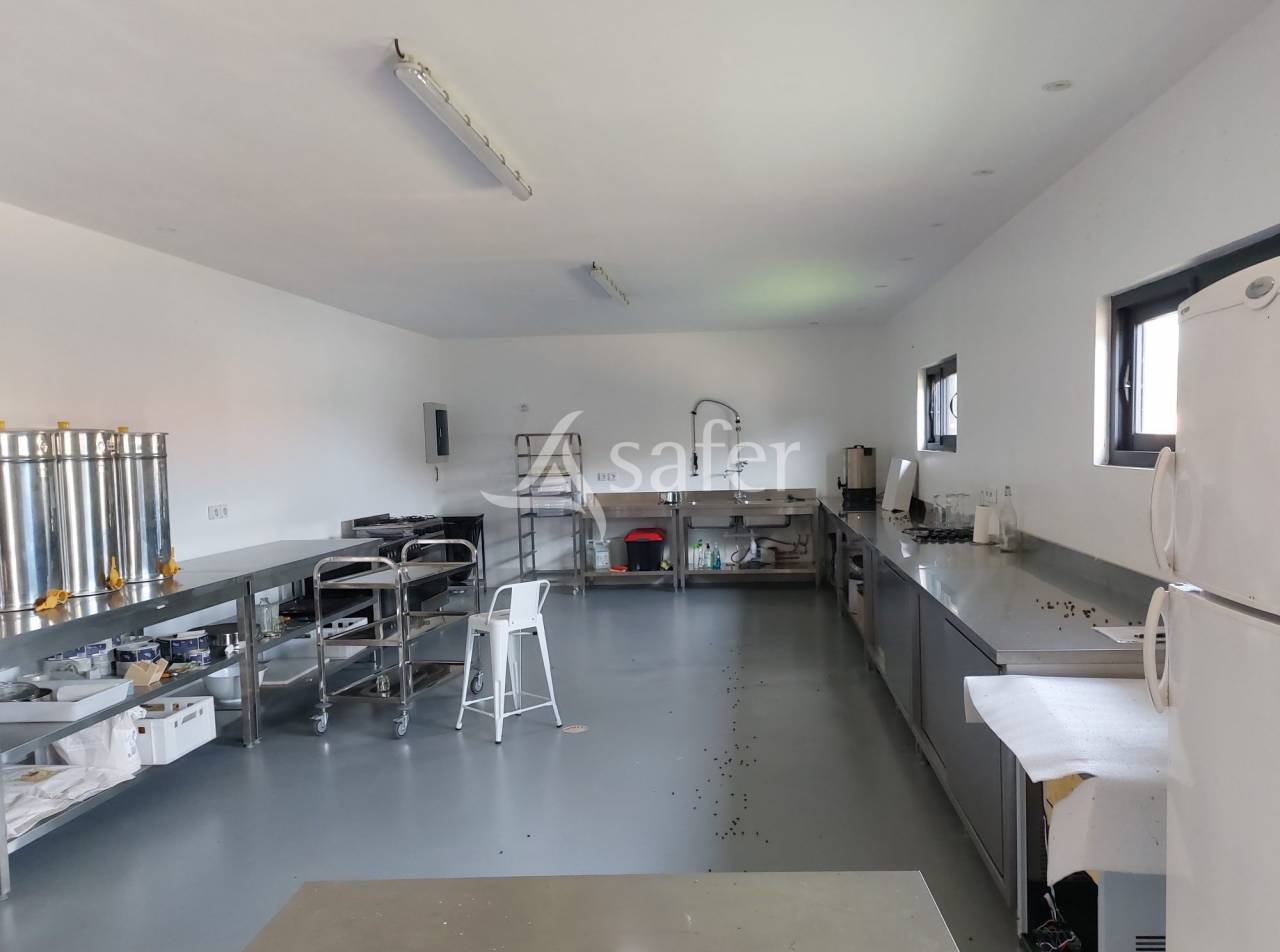 Belle propri&eacute;t&eacute; b&acirc;tie sur 17ha avec g&icirc;tes et verger, proche