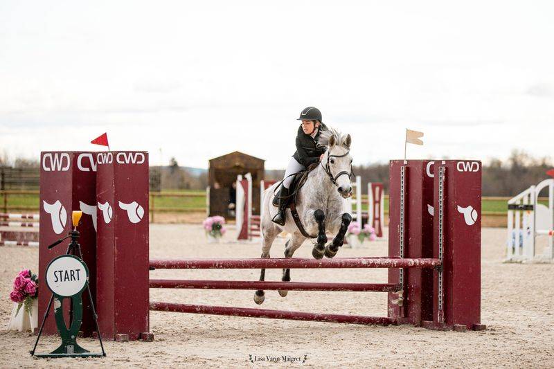 Propose DP Poney D Connemara 