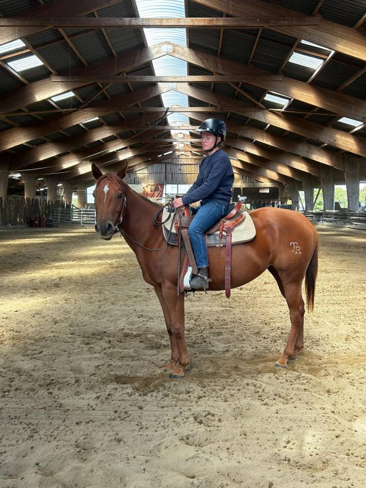 Quarter horse - Milwaukee du TR