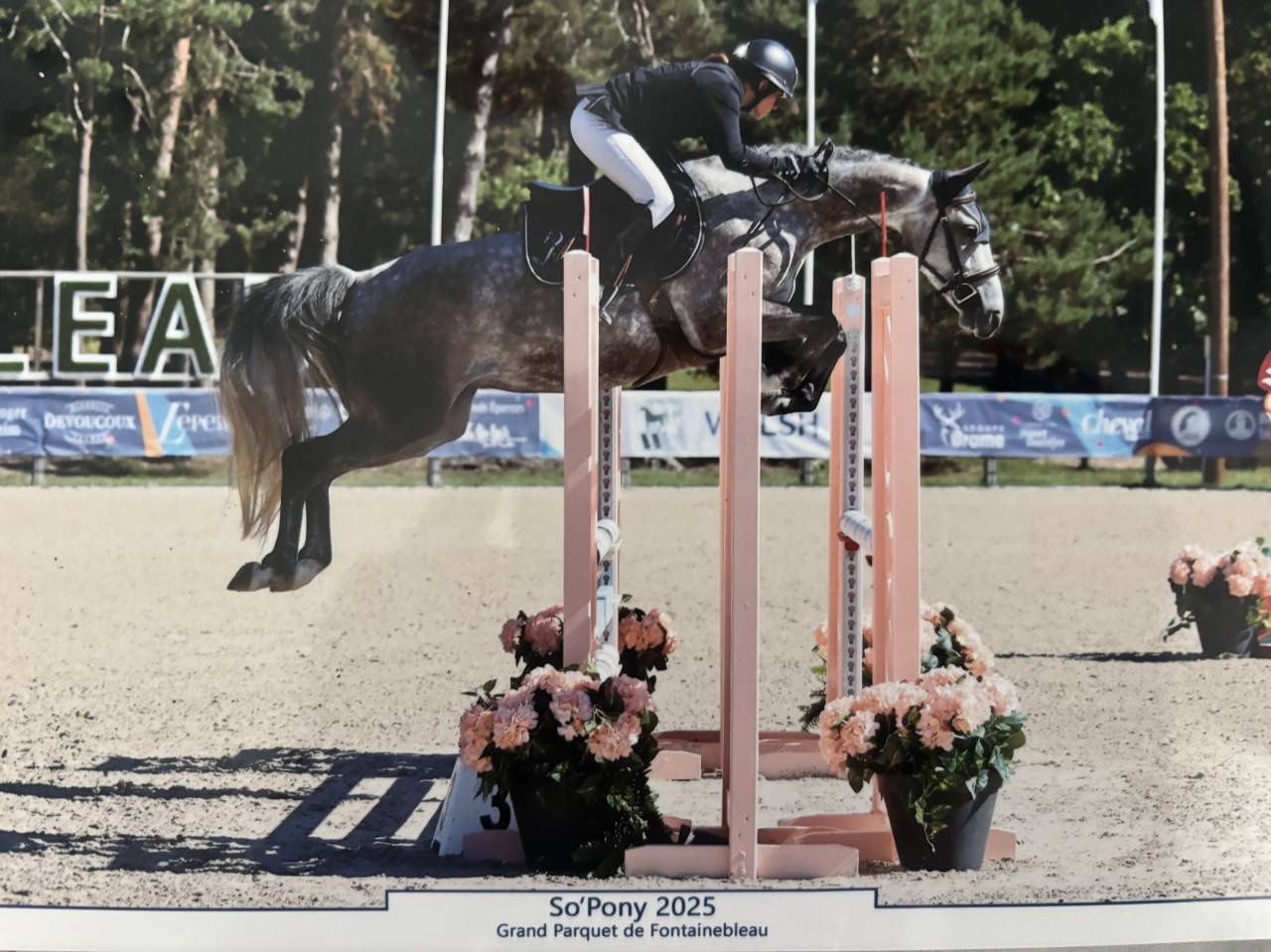 Ponette PFS