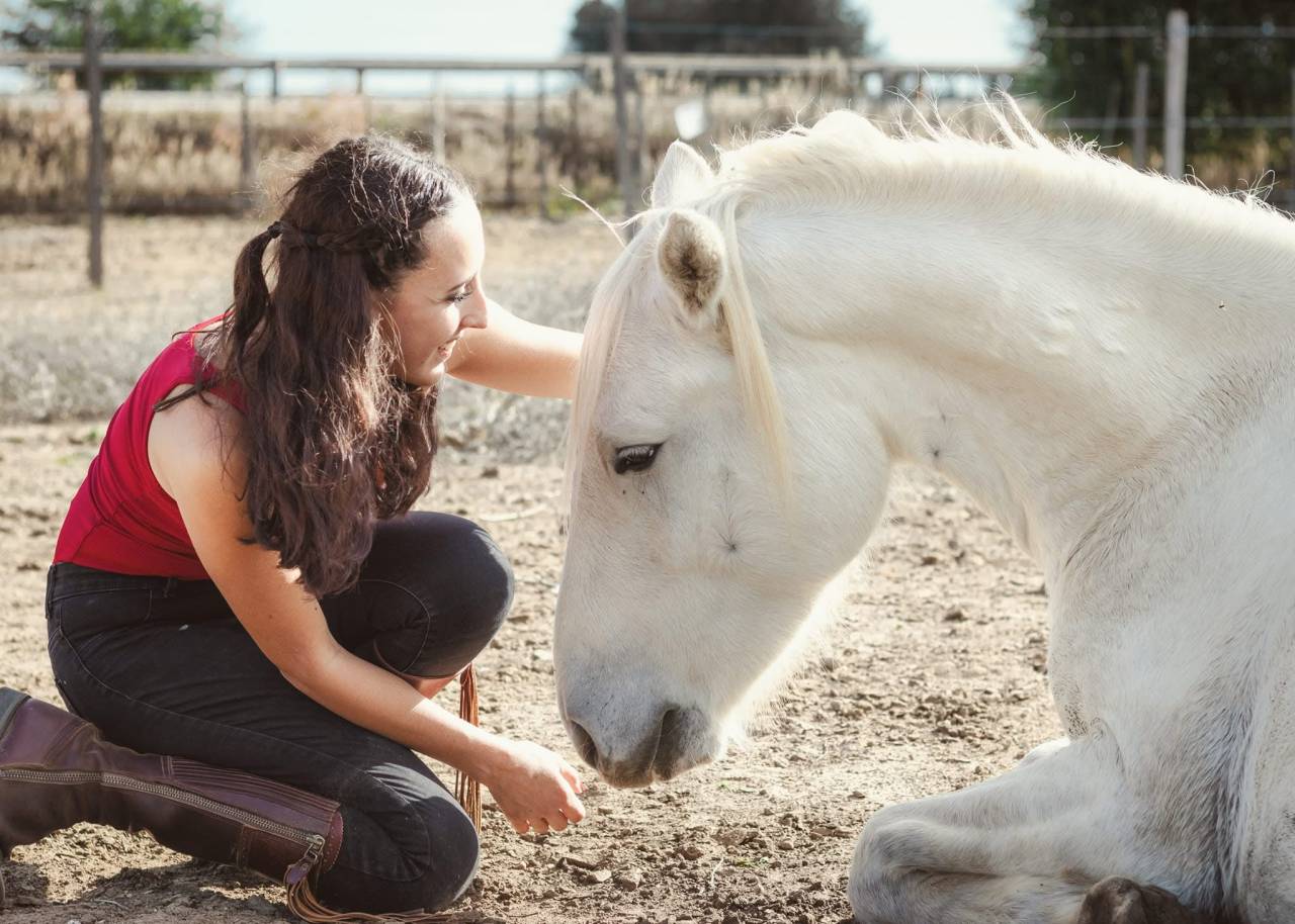  Pension Travail &ndash; Respect, Bien-&ecirc;tre & &Eacute;volution