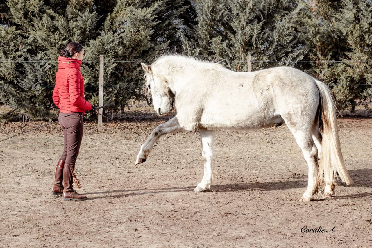  Pension Travail &ndash; Respect, Bien-&ecirc;tre & &Eacute;volution
