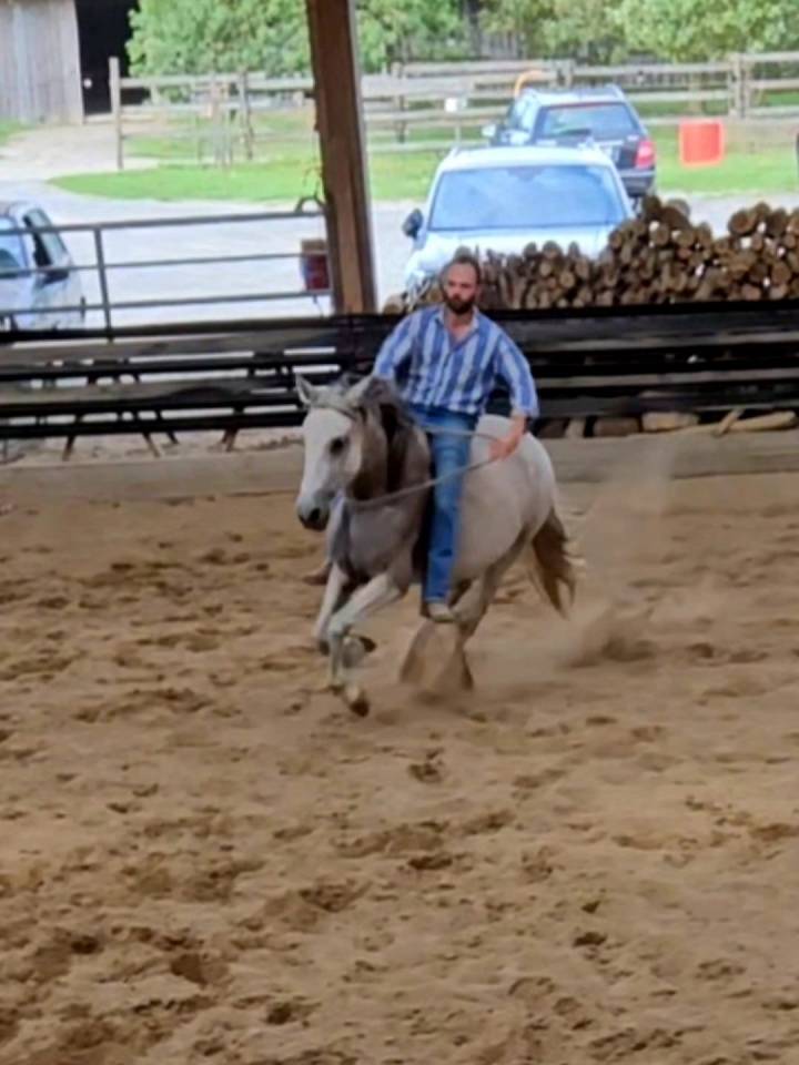 Jument Ibérique Cruzado, 10 ans – 1m54