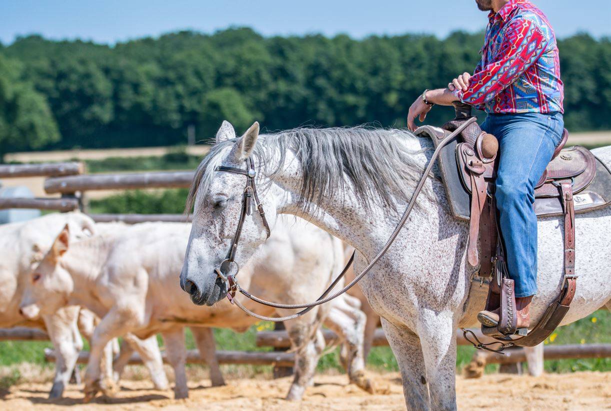 Jument Ibérique Cruzado, 10 ans – 1m54