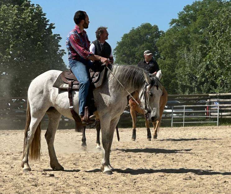 Jument Ibérique Cruzado, 10 ans – 1m54