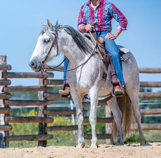 Jument Ibérique Cruzado, 10 ans – 1m54