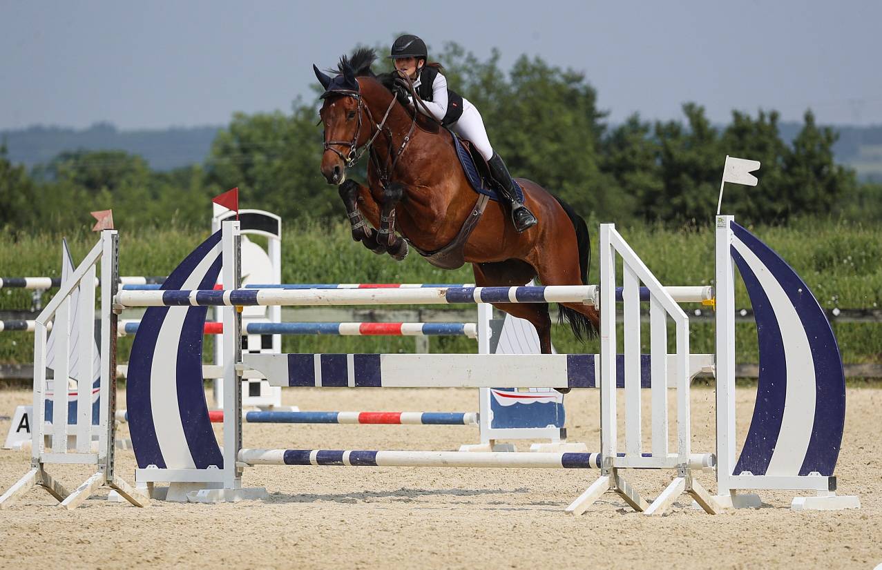 Super hongre de 9 ans débute 140