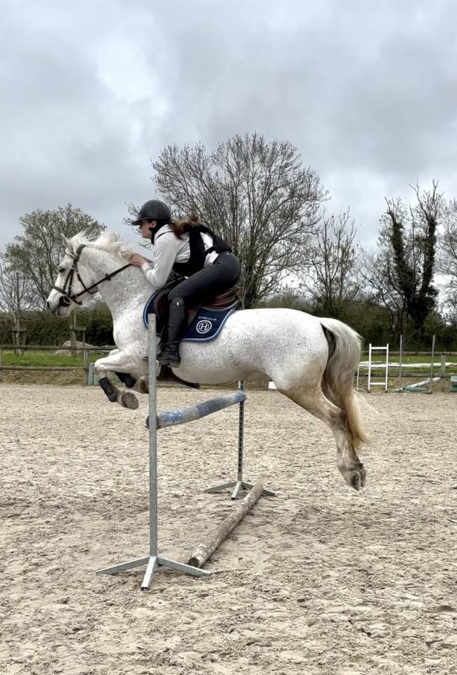 Demi pension poney D