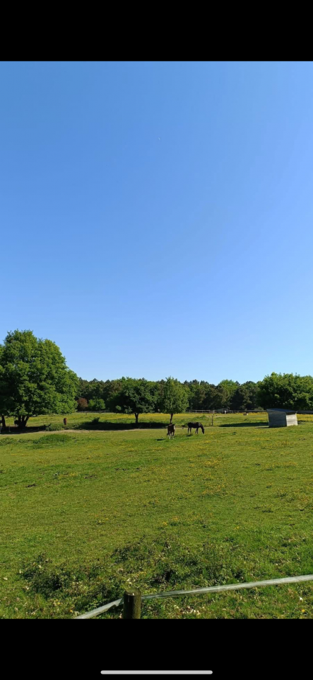 Pension proche université Le Mans 