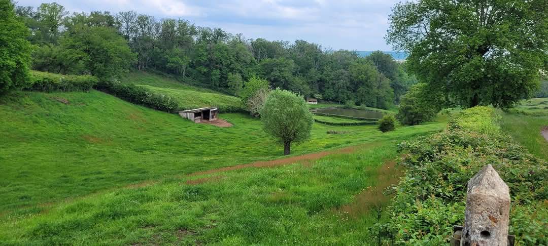 Pension près chevaux 