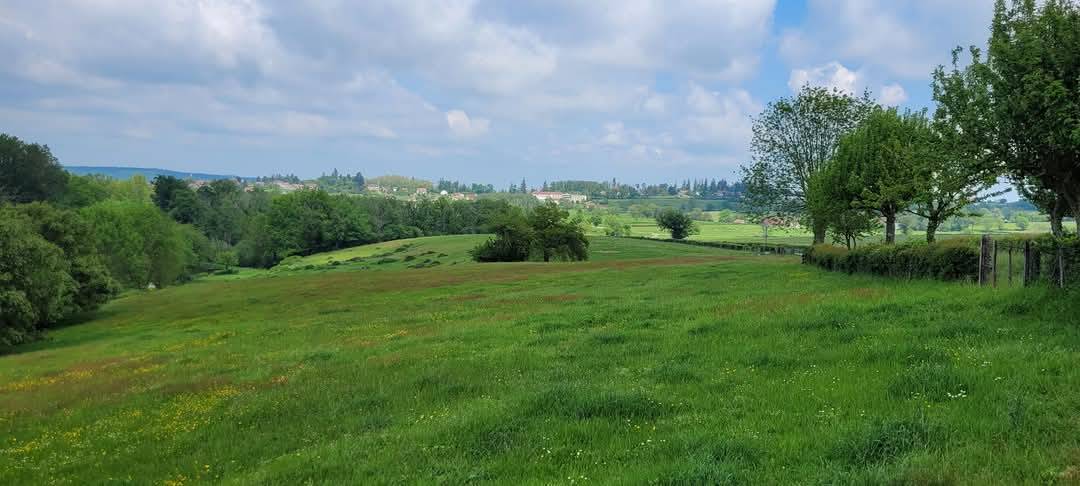 Pension pr&egrave;s chevaux 