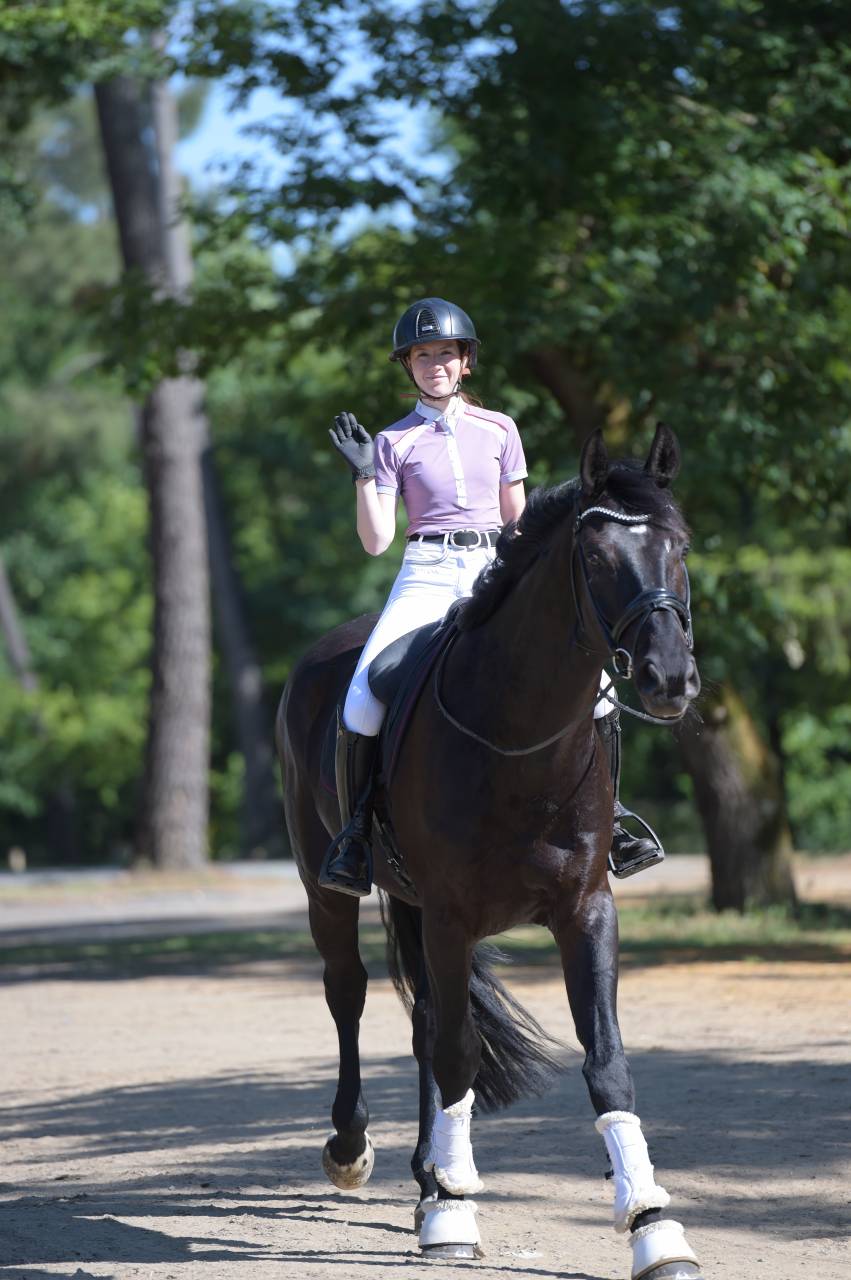 Magnifique hongre de 4 ans 