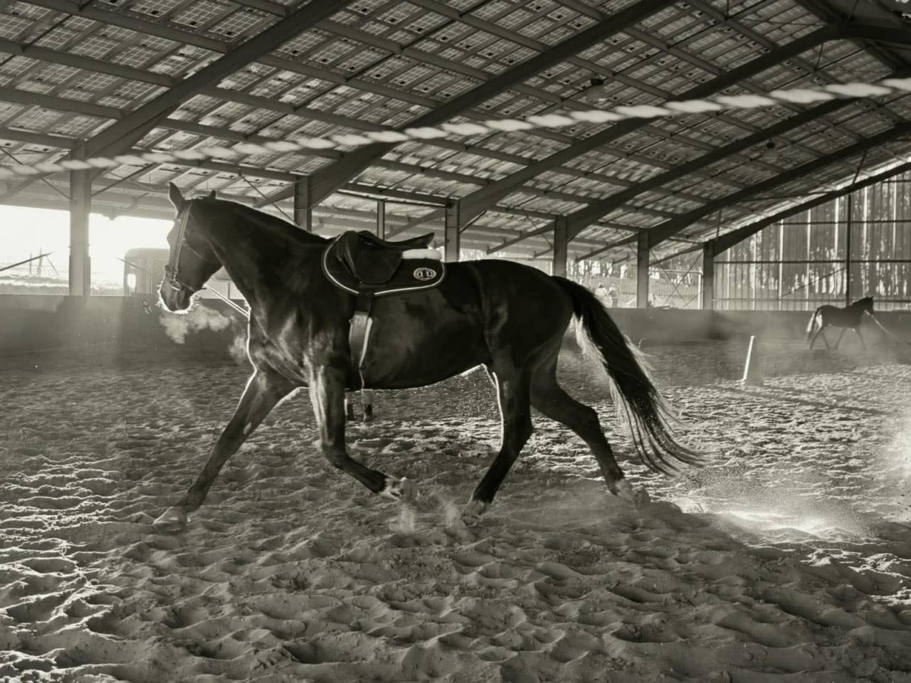 Bacoumba de Riverland 14 ans 1m66 SF