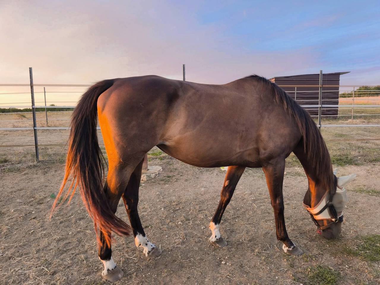 Bacoumba de Riverland 14 ans 1m66 SF