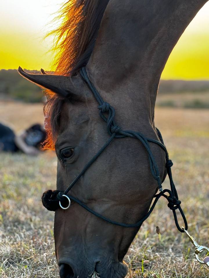 Bacoumba de Riverland 14 ans 1m66 SF