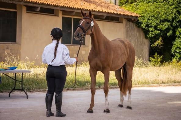 NAMASTE DES HOUCHES SF CSO CCE ELEVAGE