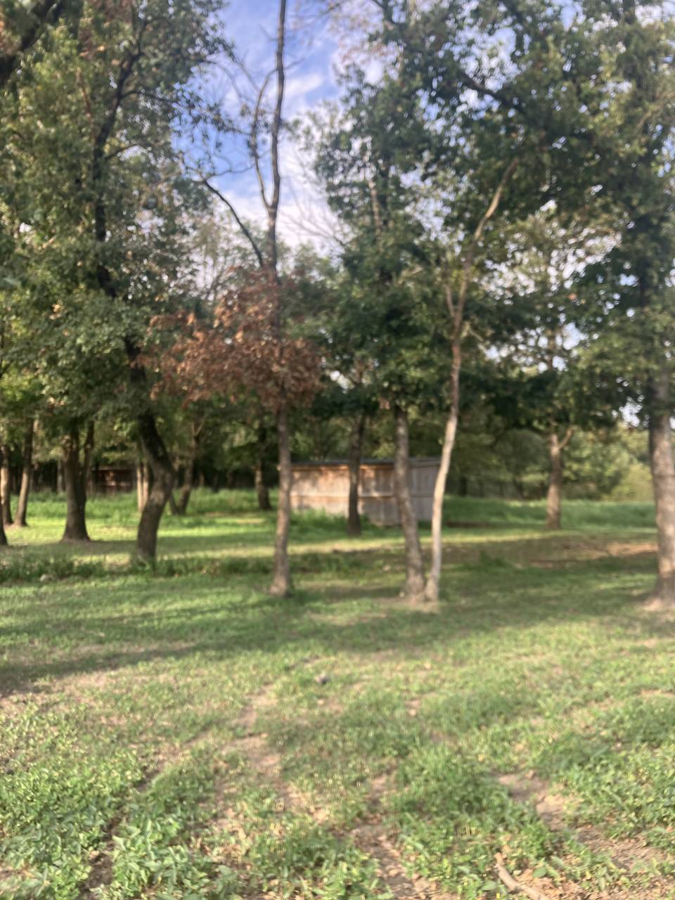 Pension cornebarrieu 