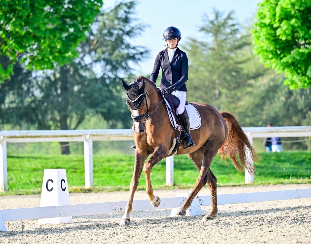 Magnifique Jument de 6 ans par Benitio