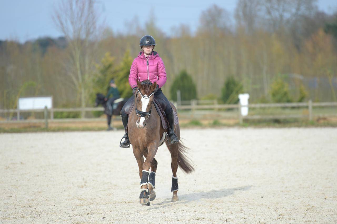 Magnifique Jument de 6 ans par Benitio