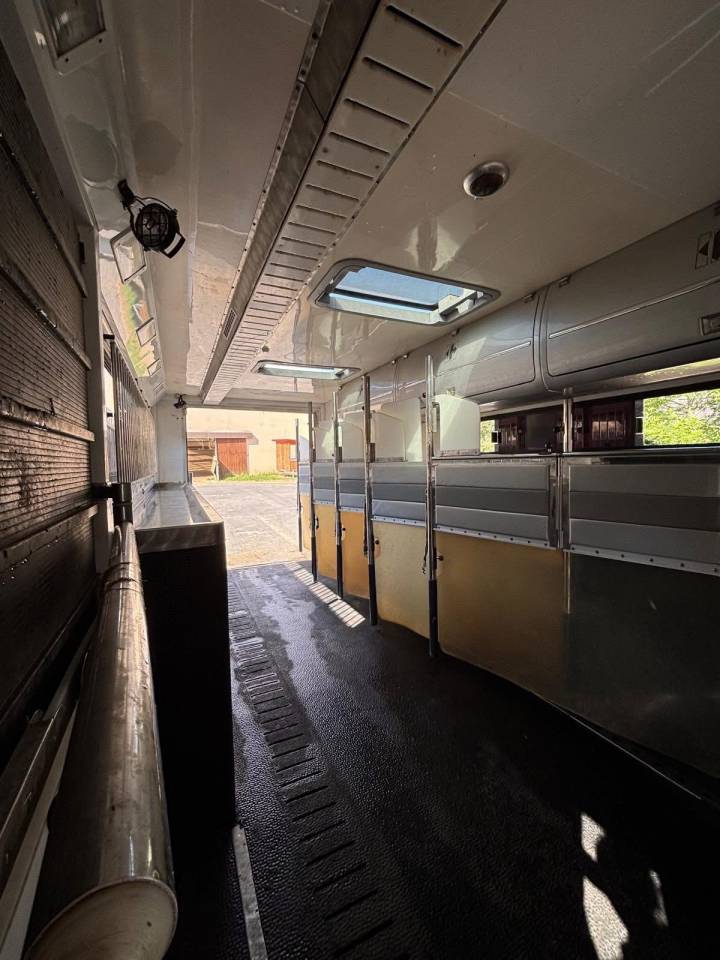 Camion PL 7 places chevaux 