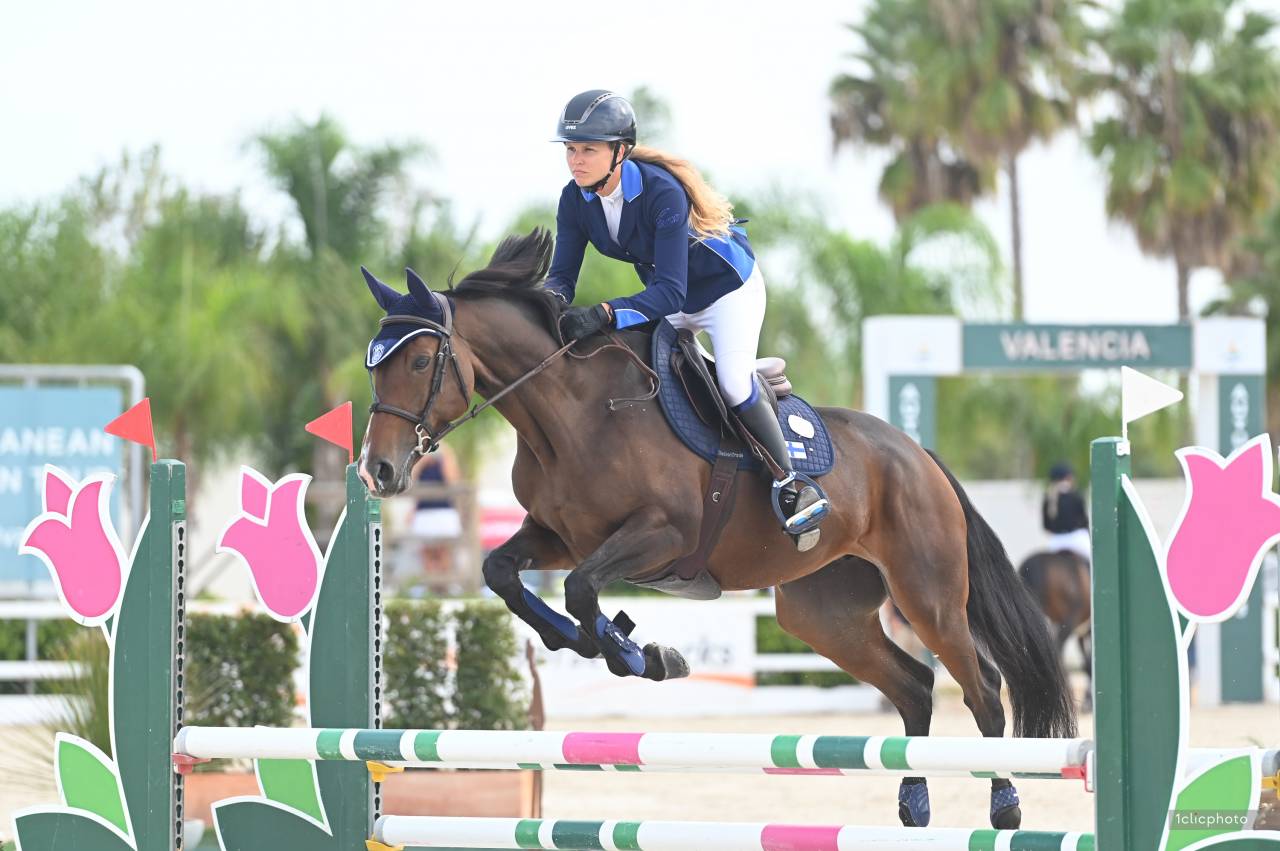 Poulinière Selle Français Originel, 3.5 pts PACE