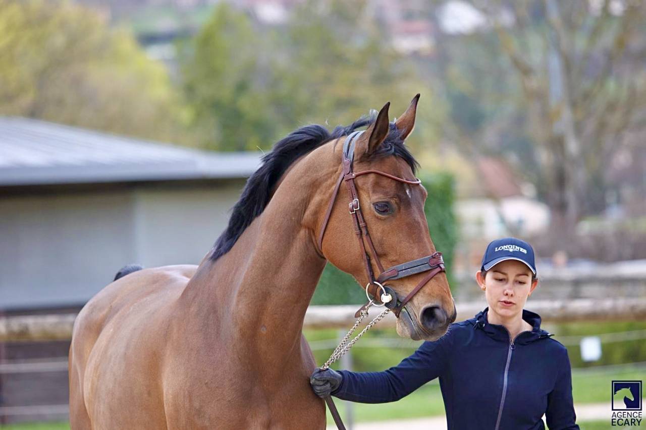 À finir de former pour Amat Élite 125/130