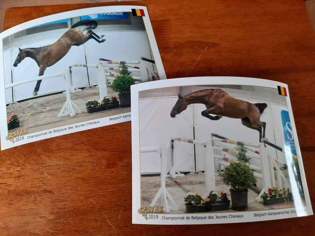 À finir de former pour Amat Élite 125/130