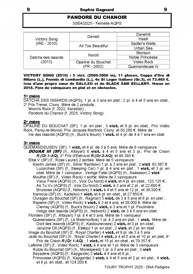 Foal Aqps à réserver au sevrage 