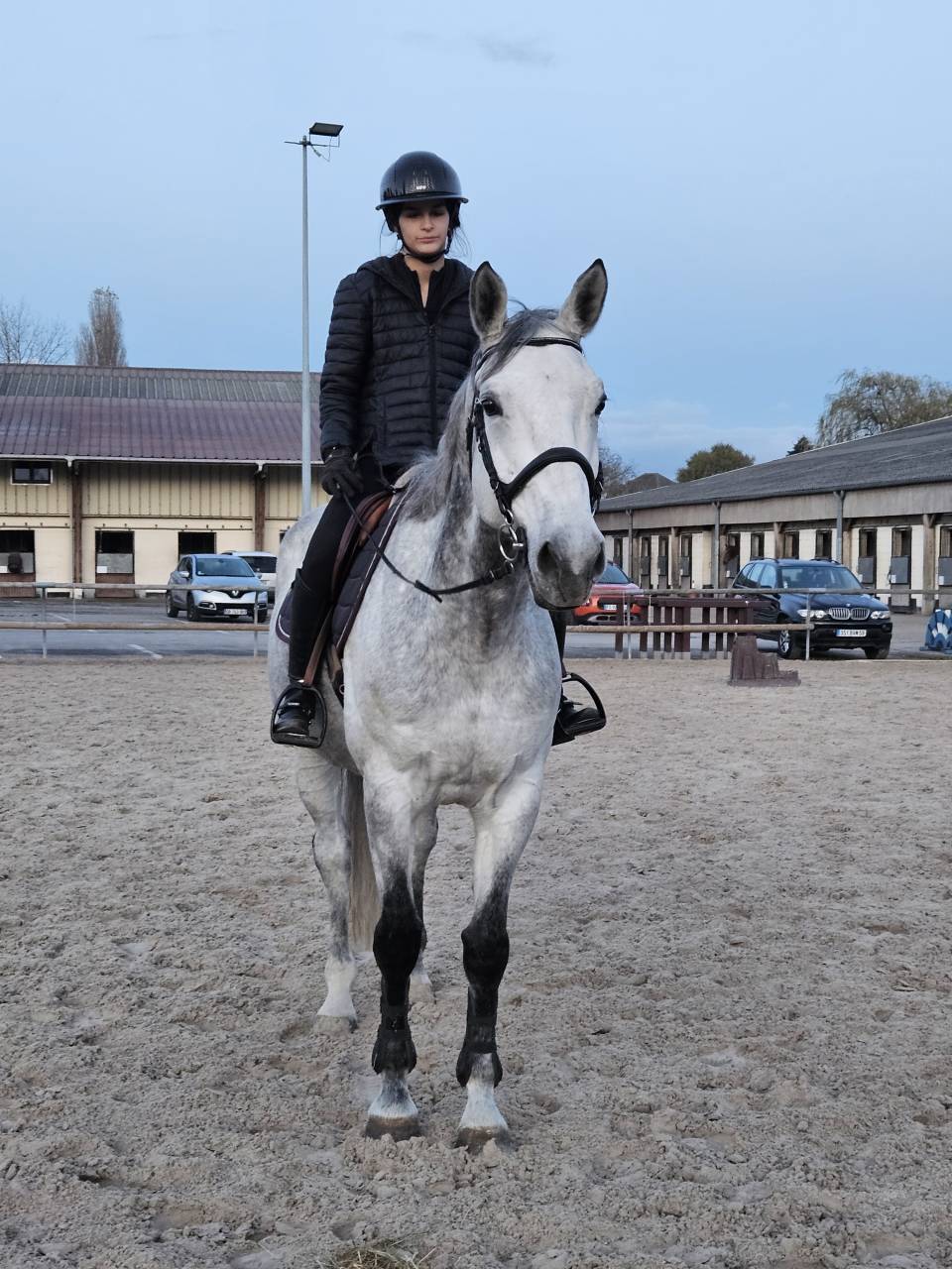 vendre jument 8 ans - selle française - CSO 