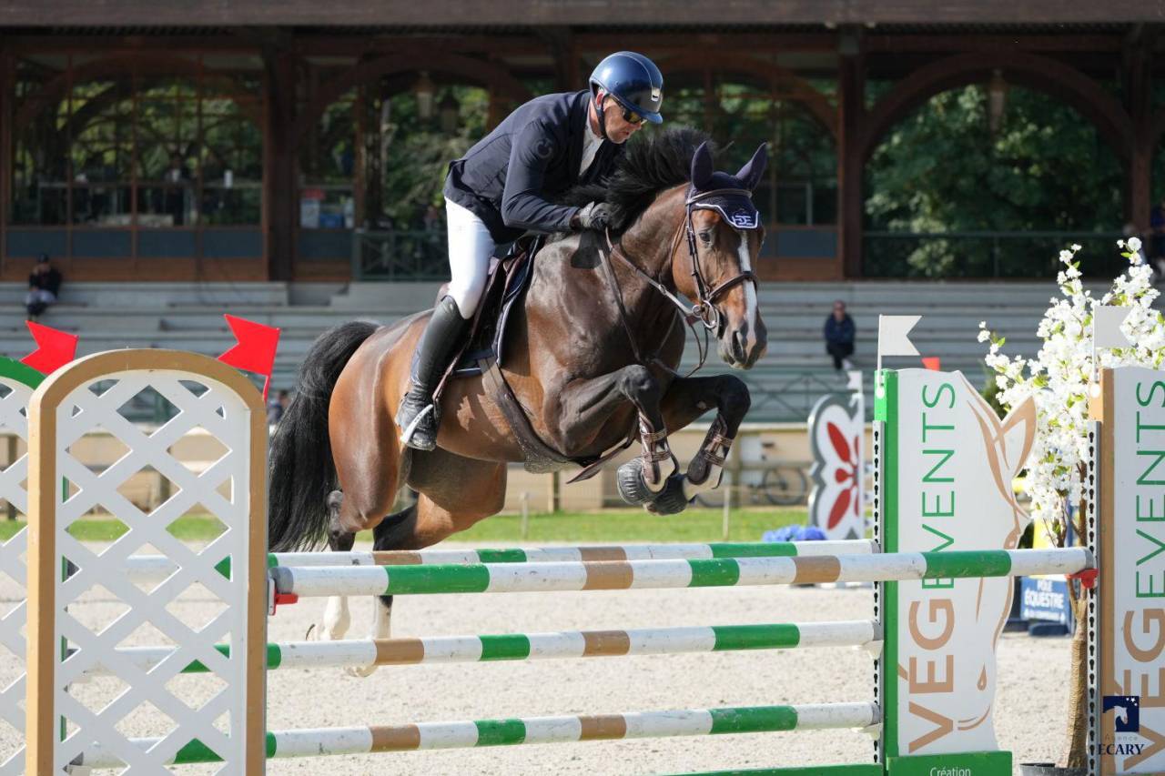 Jument 6 ans Taloubet × clinton 