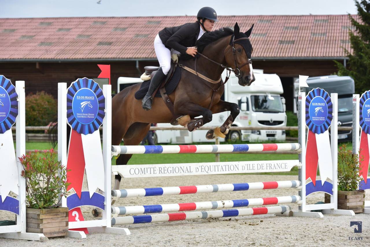 Jument 6 ans Taloubet × clinton 