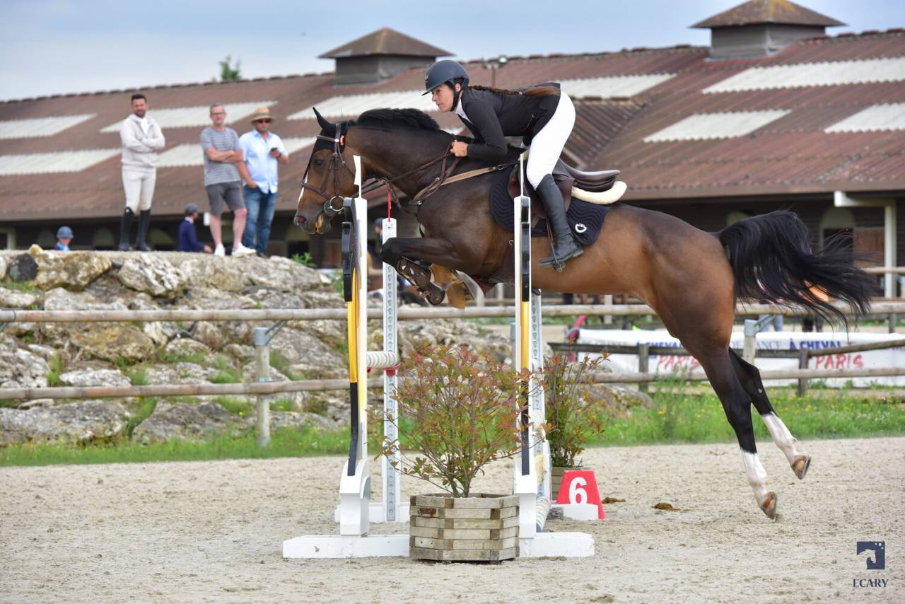 Jument 6 ans Taloubet × clinton 