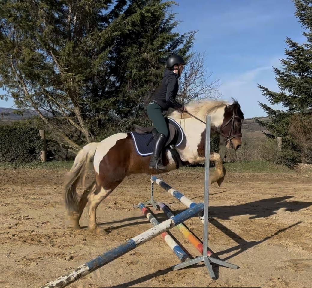 RECHERCHE DP PONEY BORDEAUX