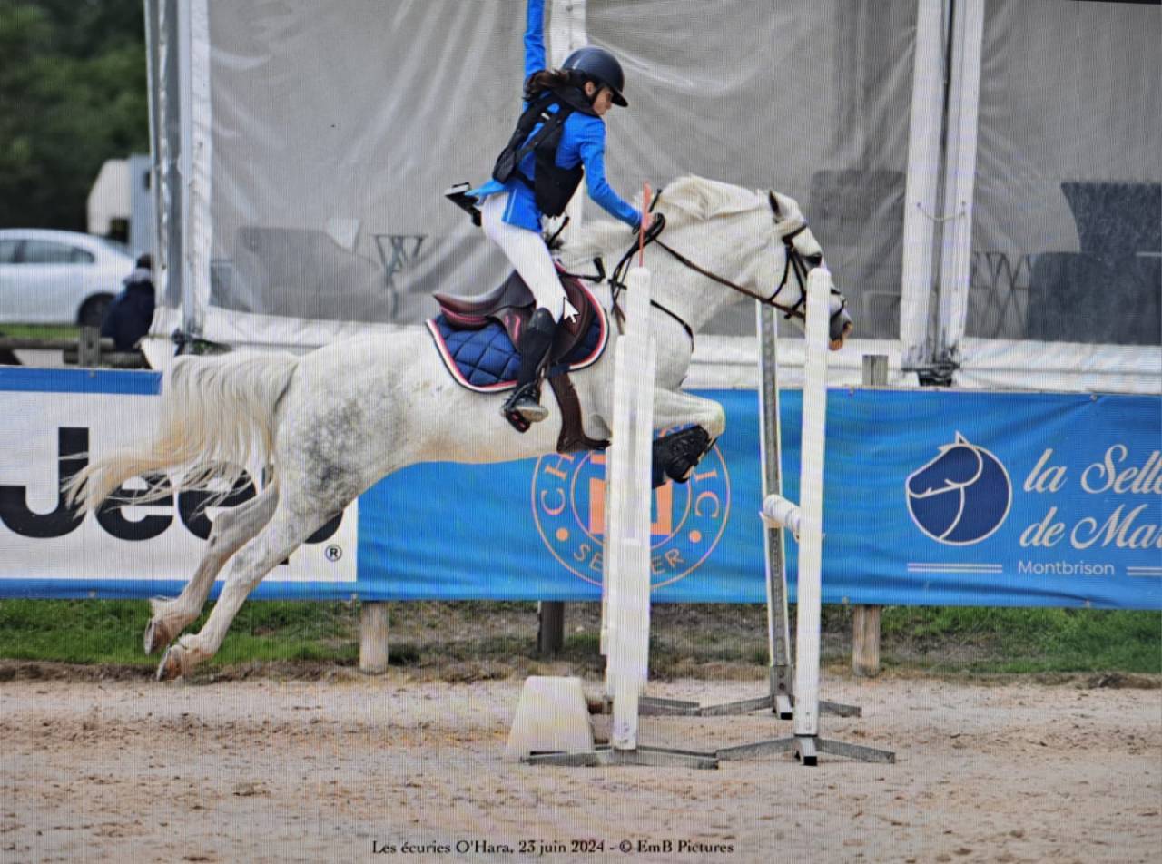 À vendre top poney D 15 ans