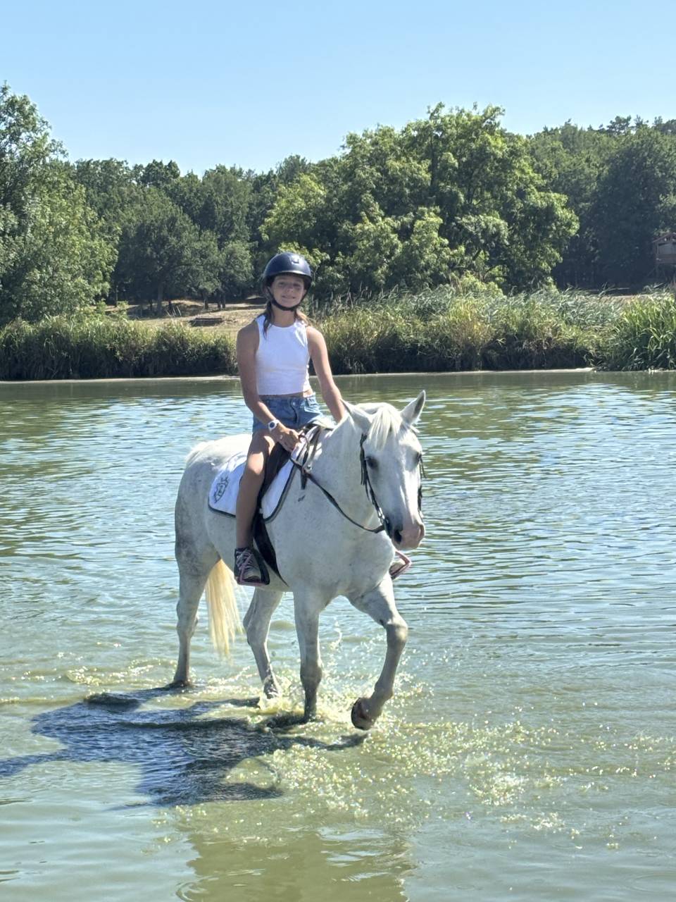 À vendre top poney D 15 ans