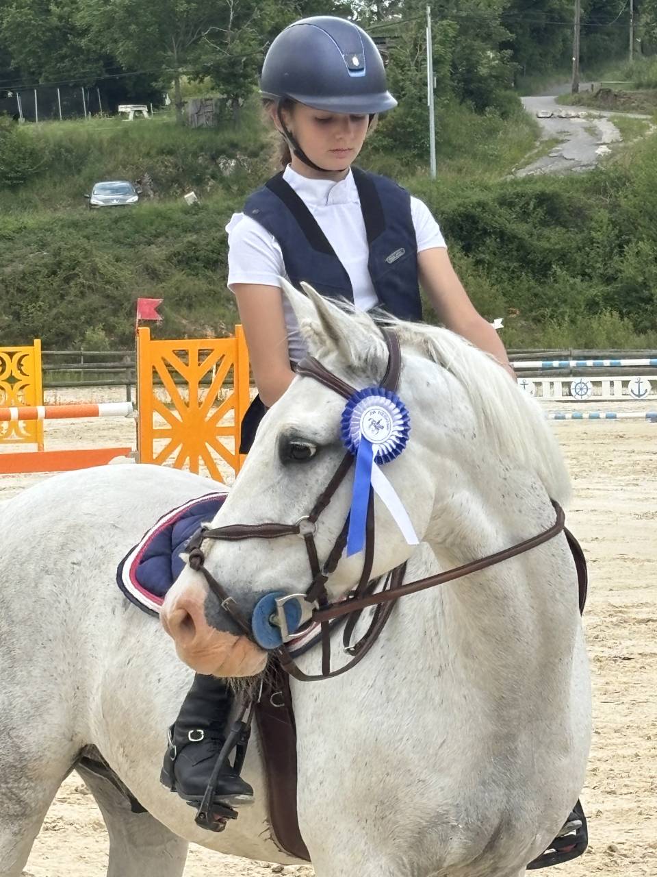 À vendre top poney D 15 ans