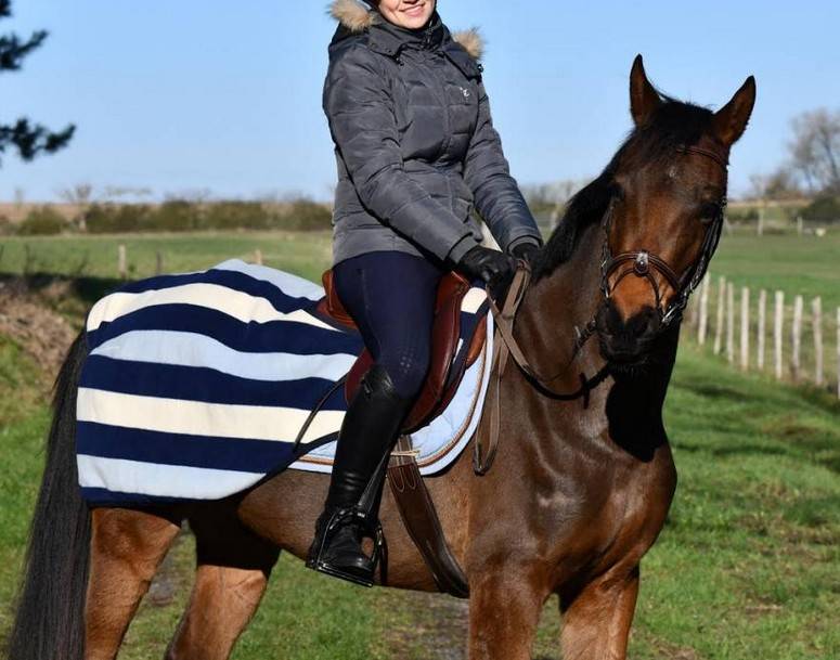 Hongre 11 ans polyvalent